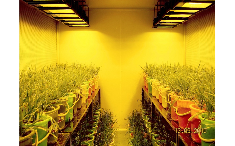 如何使用顶置光源气候室进行植物栽培试验？结构特点和作用是什么